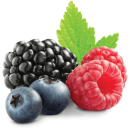 Саджанці плодових та декоративних рослин