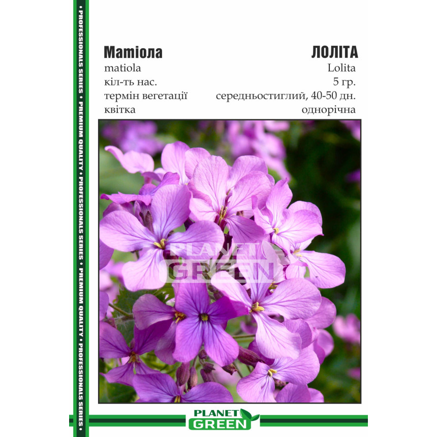 Матіола Лоліта, 5г