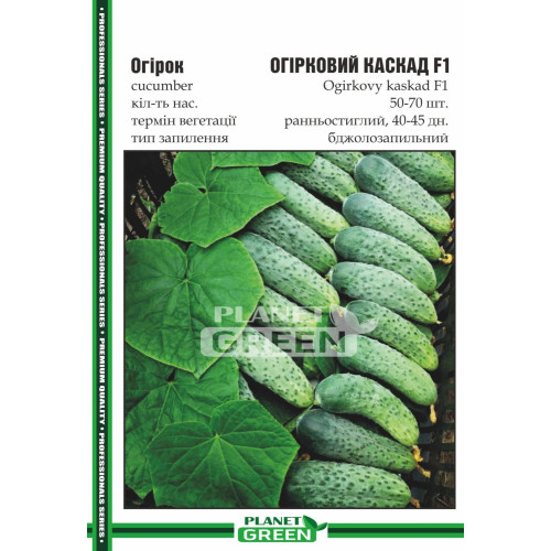 Огірок Огірковий каскад, 50-70 шт.