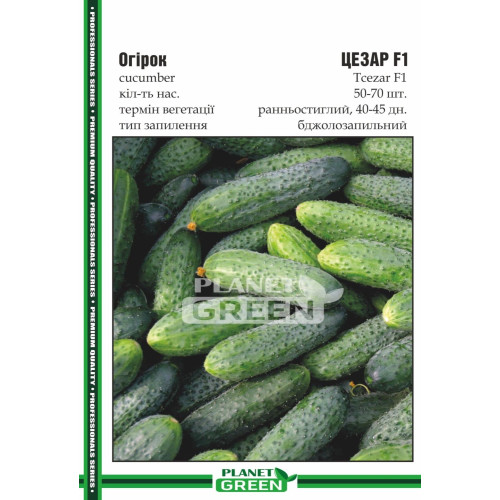 Огірок Цезар, 50-70 шт.