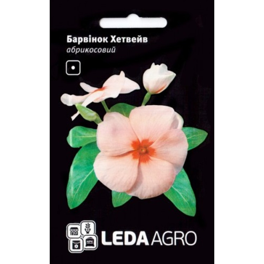 Барвінок Хетвейв Абрикосовий 10 шт.