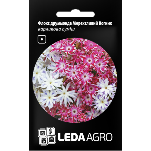 Флокс друммонда Мерехтливий Вогник 0.2г