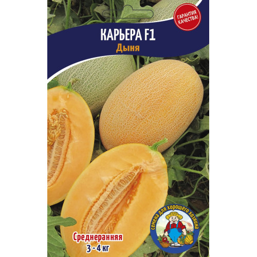 Диня Кар'єра 5г