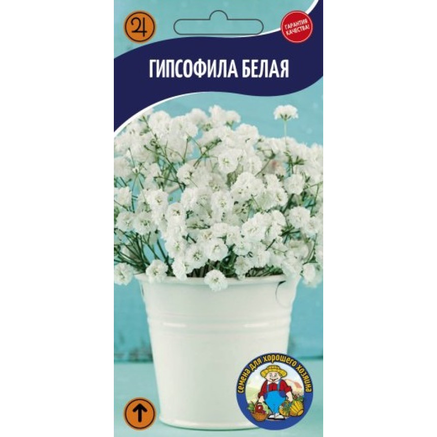 Гіпсофіла біла, 0.1 г
