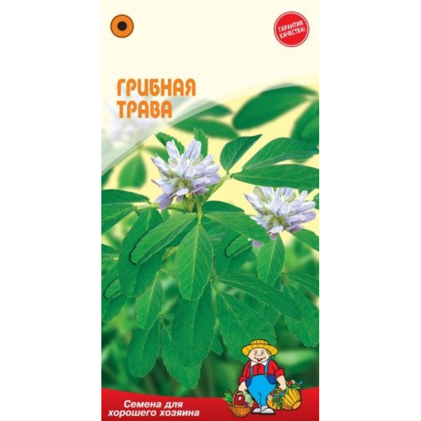 Грибна трава (1г.)