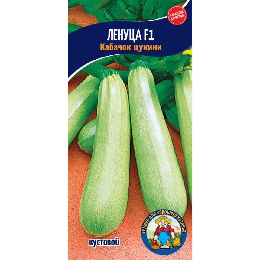 Кабачок цукіні Ленуца 5 шт.