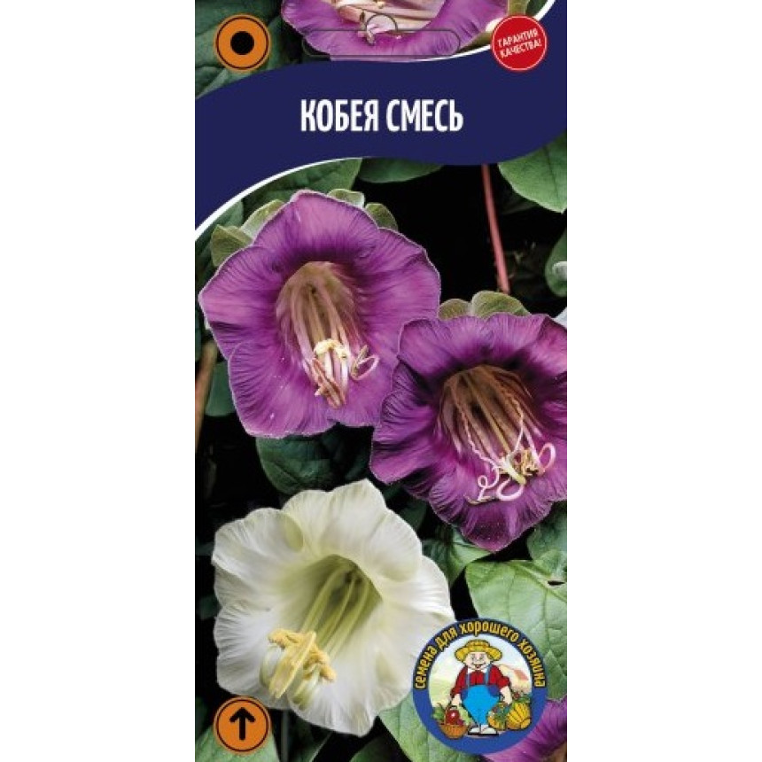 Кобея смесь, 3 шт.