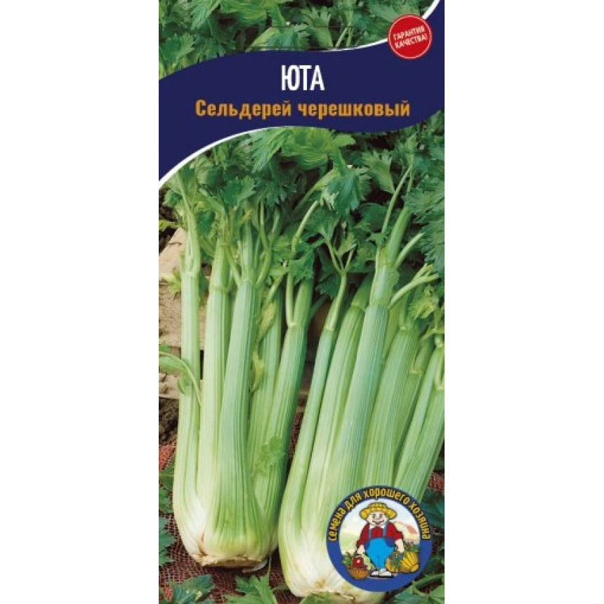 Селера Юта черешкова 2г