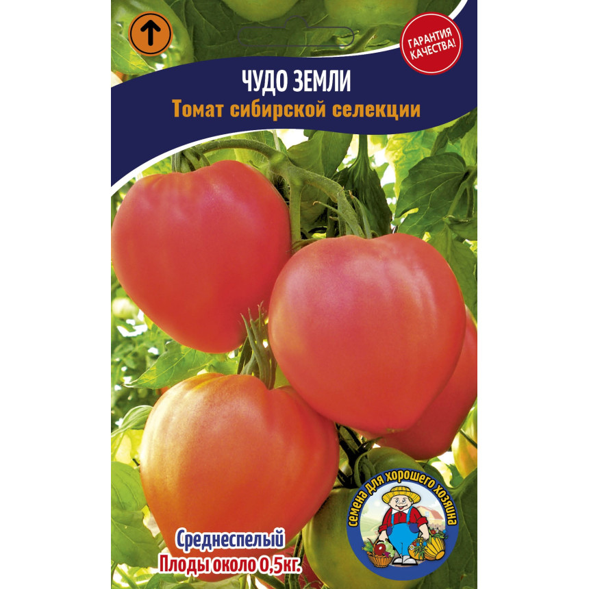 Томат Диво Землі 200-250 шт.