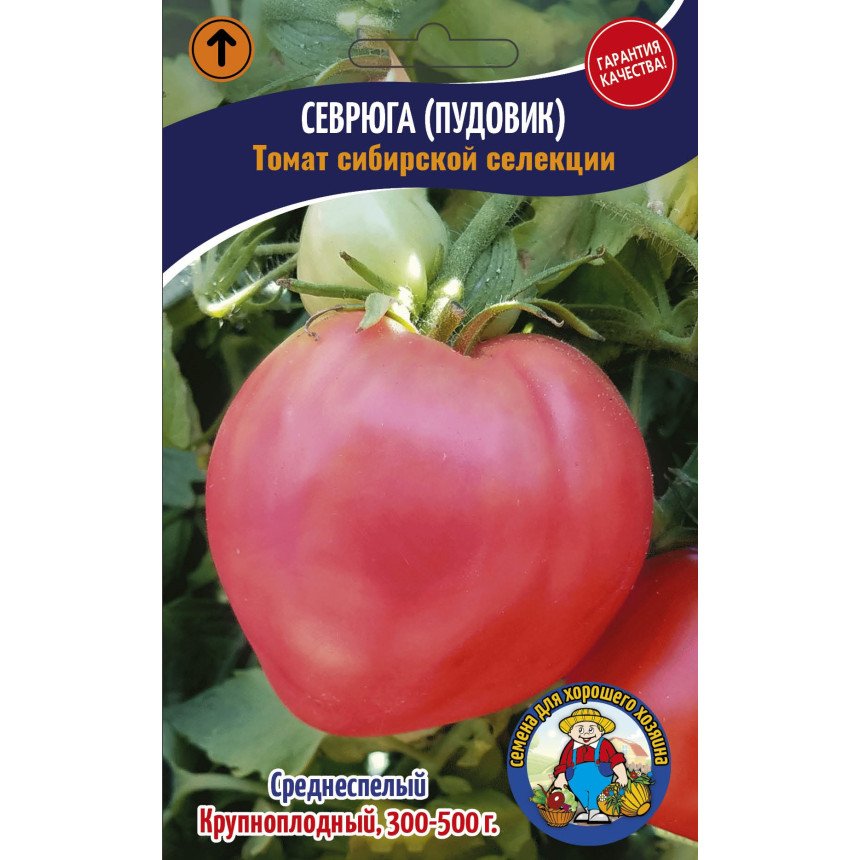 Томат Севрюга (Пудовик) 200-250 шт.