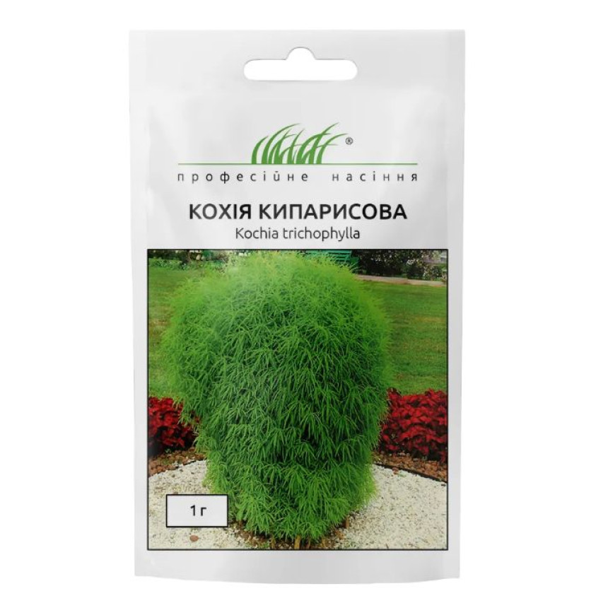 Кохия кипарисовая 1г