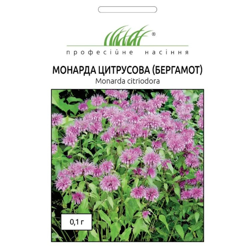 Монарда, бергамот 0.1г
