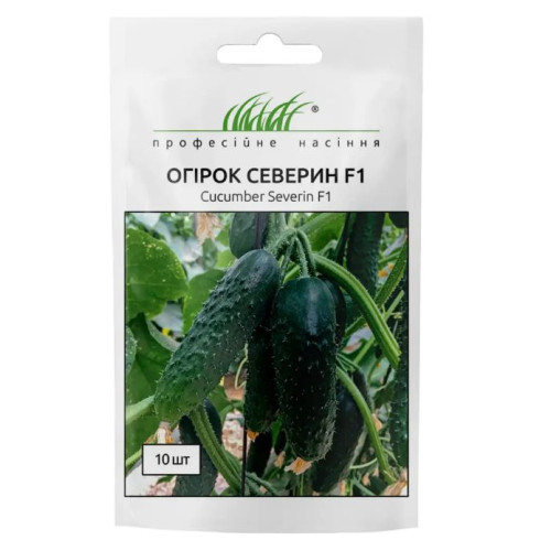 Огірок Северин, 10шт