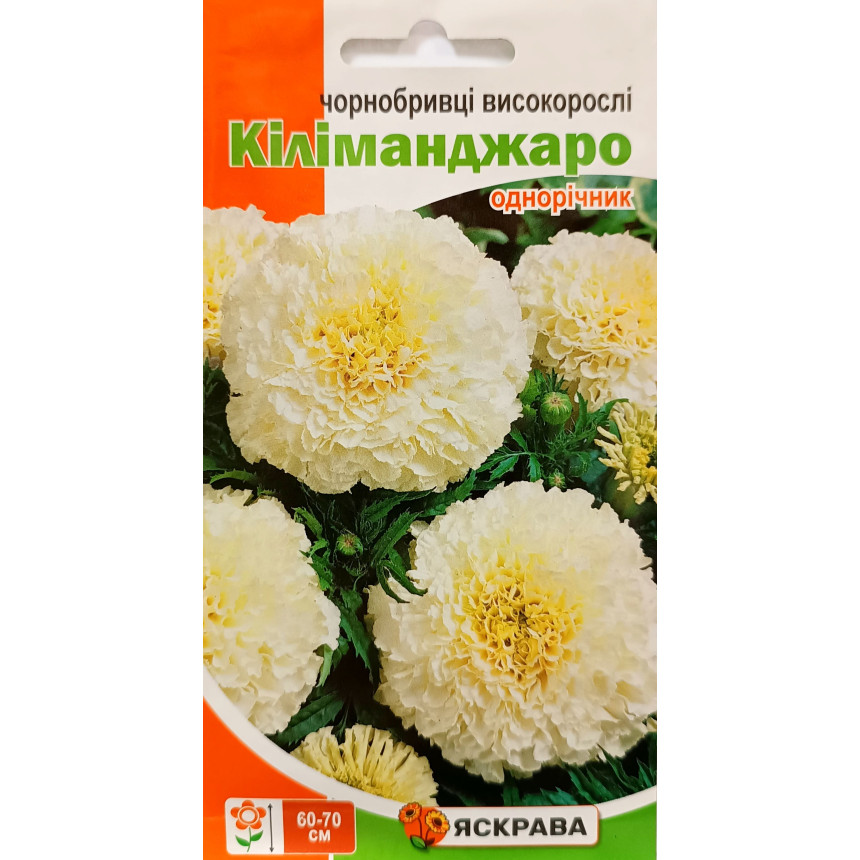 Чорнобривці Кіліманджаро, 0.5 г