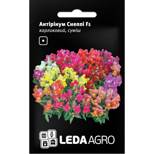 Антірінум Снеппі карликовий суміш 10 шт.