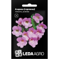 Азарина (Горлянка) ползучая розовая 4 шт.