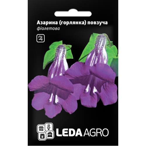 Азарина (Горлянка) ползучая фиолетовая 4 шт.