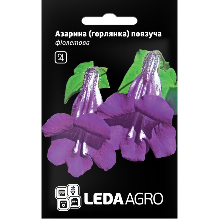 Азарина (Горлянка) ползучая фиолетовая 4 шт.