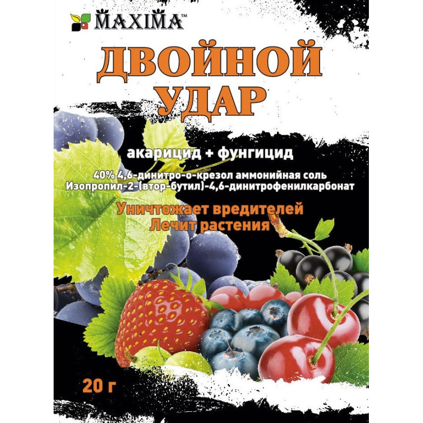 Подвійний удар (Польща), 20г