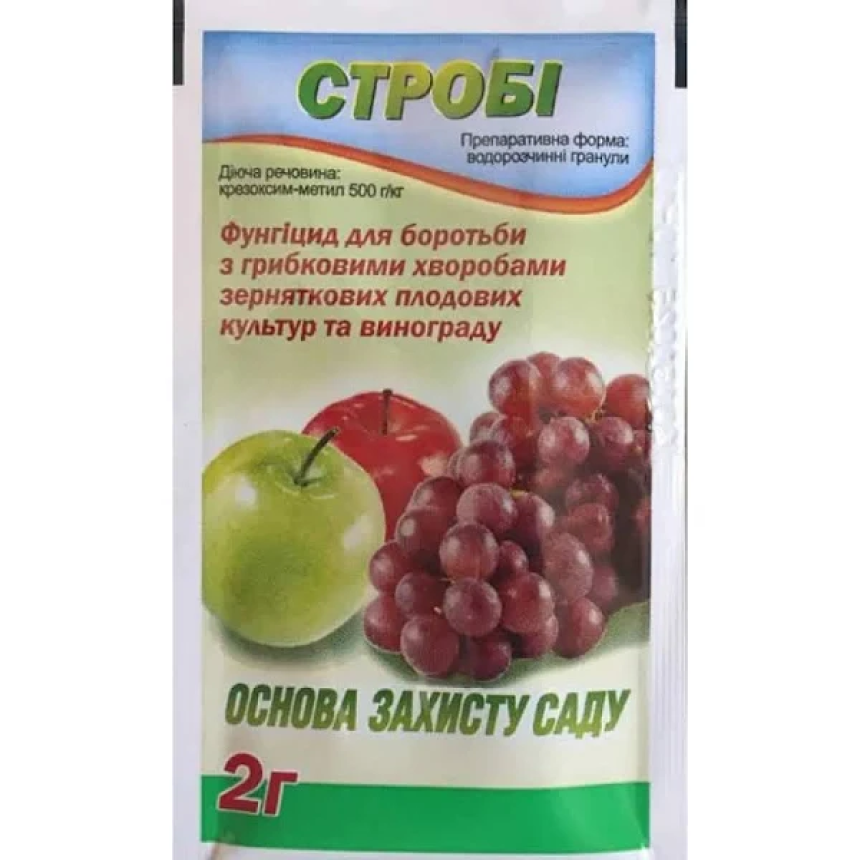 Строби BASF, 2г.