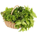 Зелень, трави, прянощі