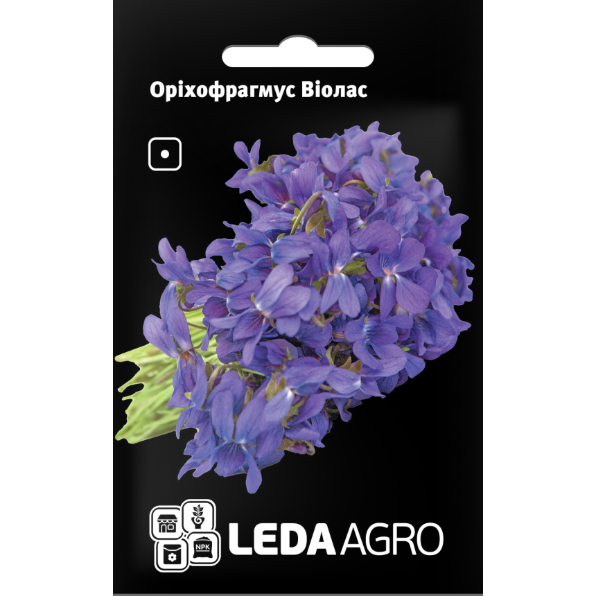 Оріхофрагмус Віолас