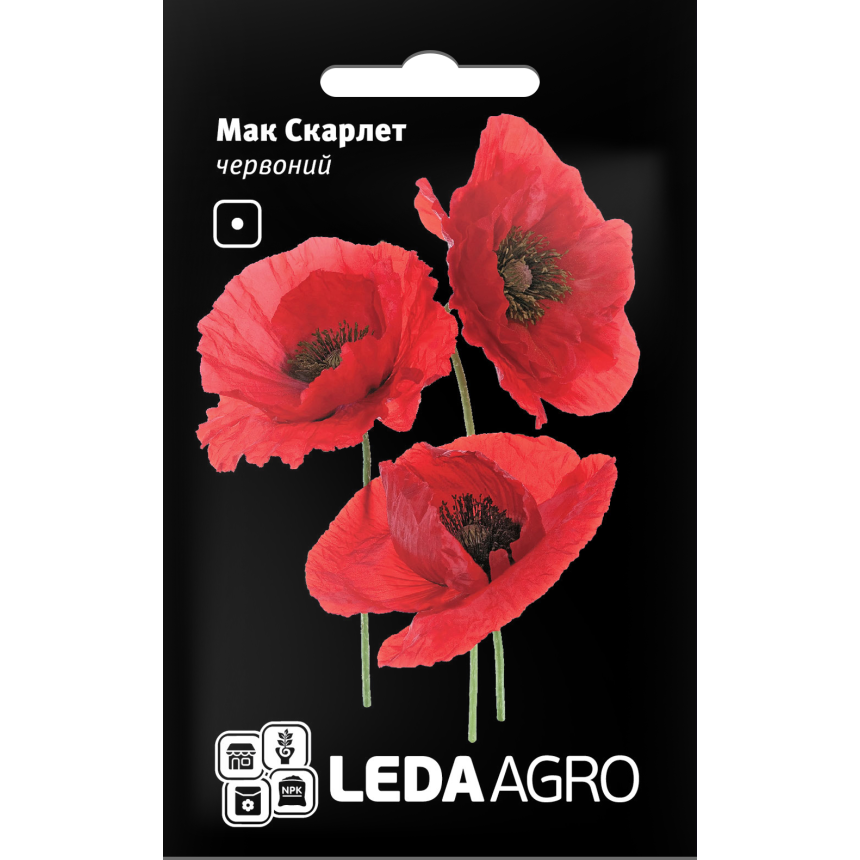 Мак Скарлет червоний