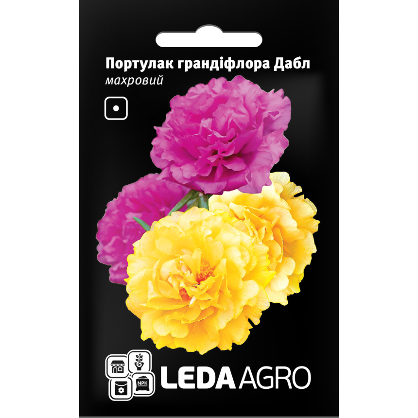 Портулак Грандіфлора Дабл