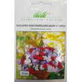 Бальзамін новогвінейський Дівайн суміш, 10 шт.