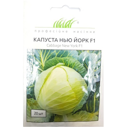 Капуста Нью-Йорк, 20 шт.