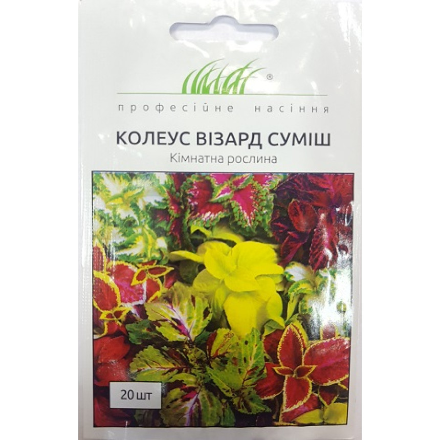 Колеус Візард, 20 шт.