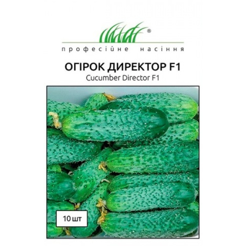 Огурец Директор, 10 шт.