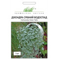 Діхондра Срібний Водоспад, 5 шт.