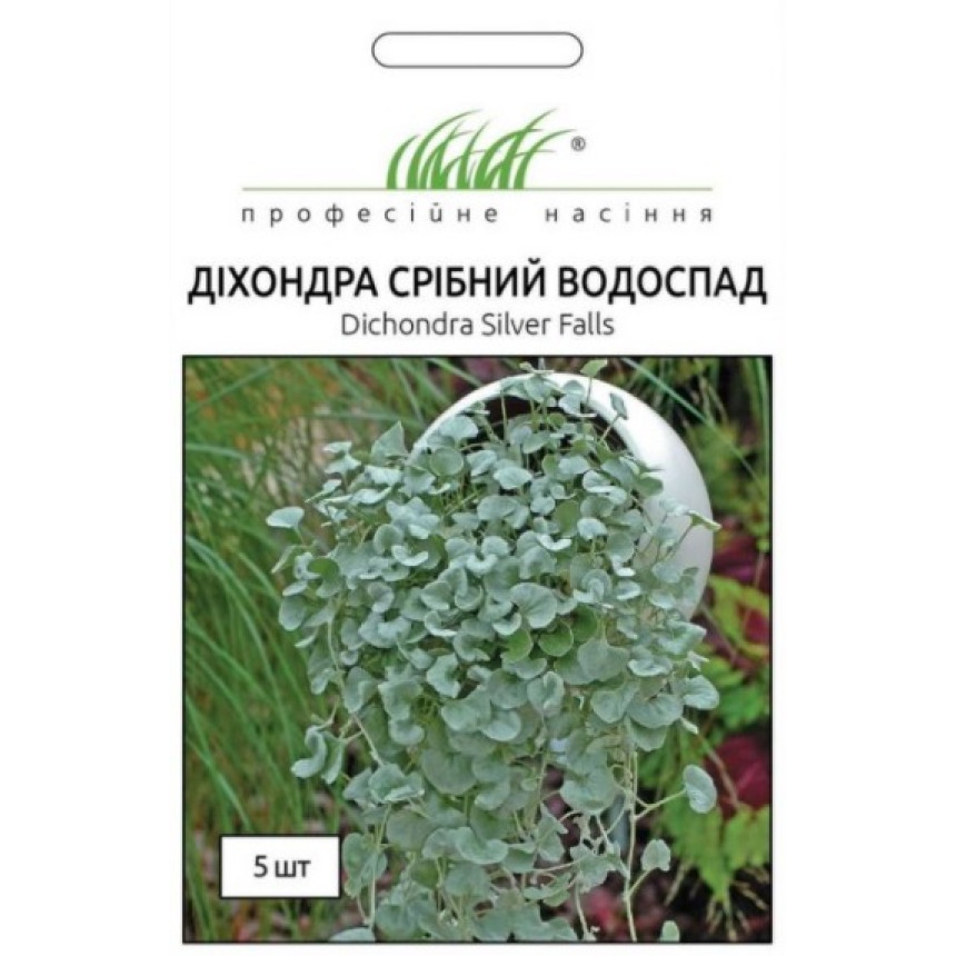 Діхондра Срібний Водоспад, 5 шт.