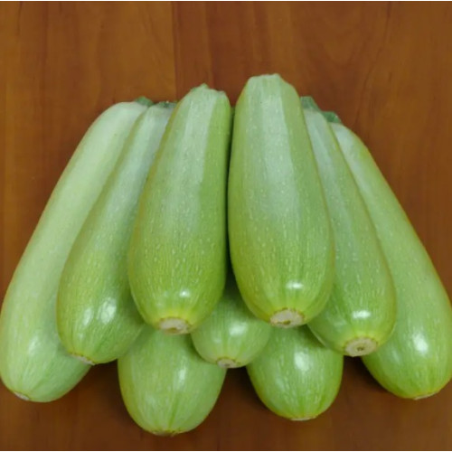 Кабачок Немо F1, 5шт.