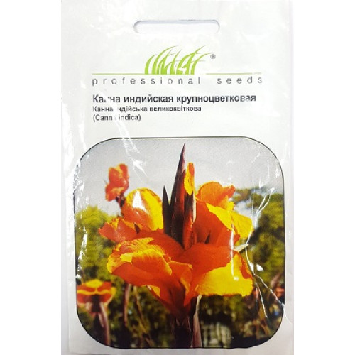 Канна індійська великоквіткова, 5 шт.