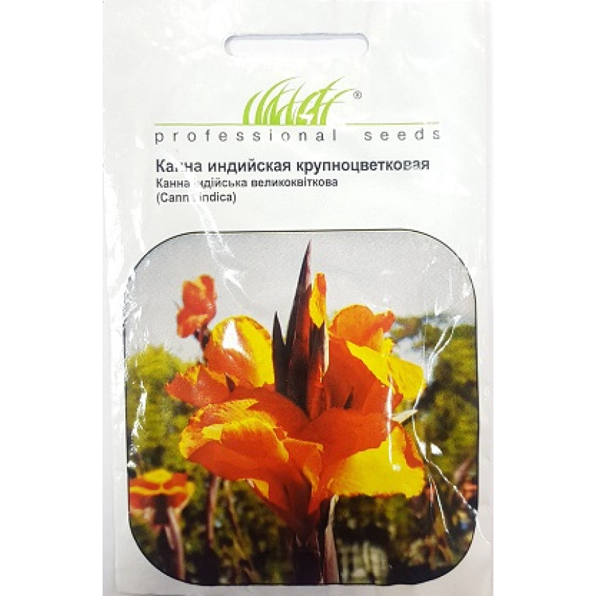 Канна індійська великоквіткова, 5 шт.