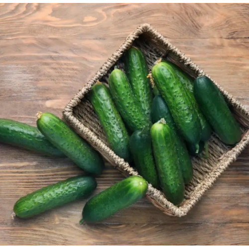 Огірок Мадрилен F1, 10шт