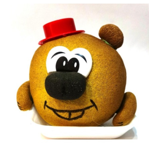 Декоративний газон Копатич