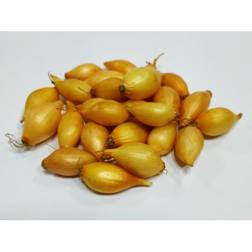 Цибуля-сіянка Радар (вагова цибуля) Голандія, 1 кг