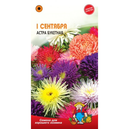 Айстра букетна 1-е вересня 0,1г