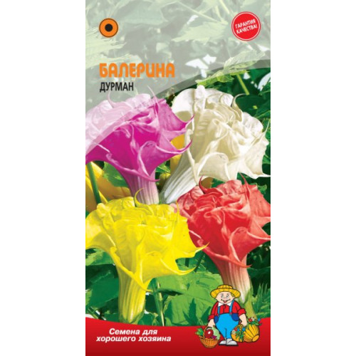 Дурман Балерина 10 шт.