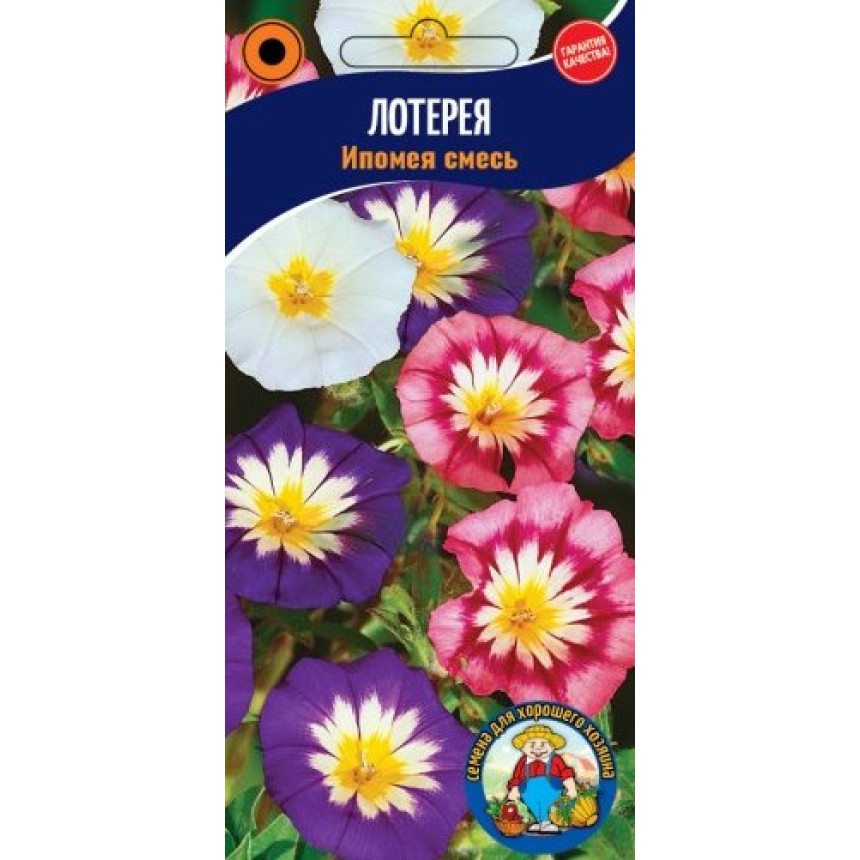 Іпомея Лотерея 15 шт.