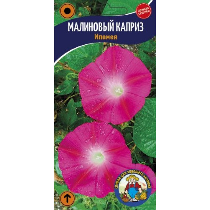 Іпомея Малиновий каприз 10 шт.