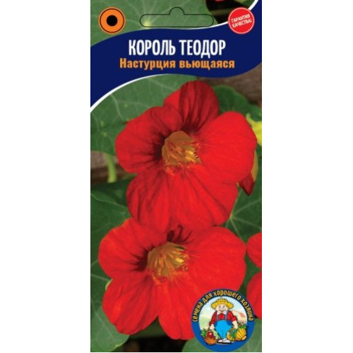 Настурція Король Теодор 5 шт.