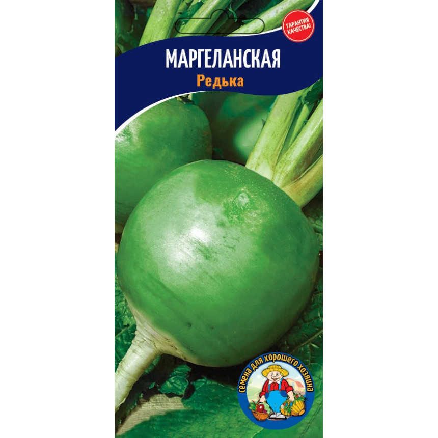 Редька Маргеланська 3г
