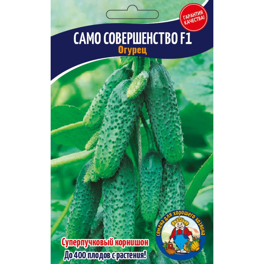 Огірок Сама Досконалість 50-70 шт.