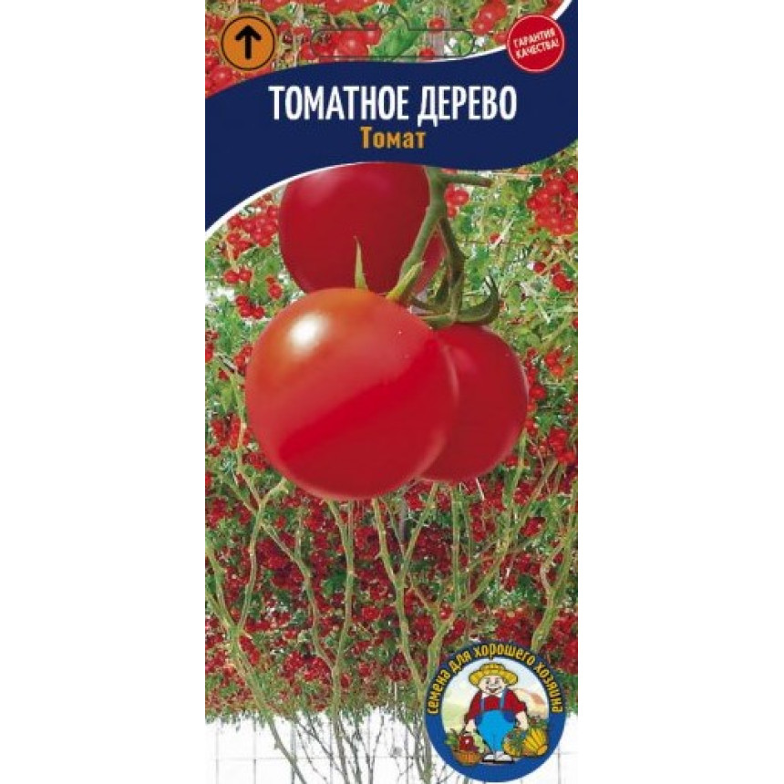 Томатне дерево (5 сем.)