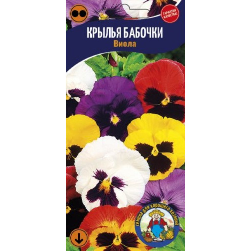 Віола Крила Метелика