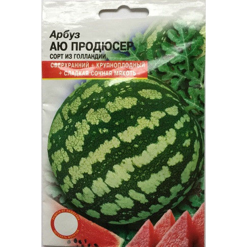 Кавун АЮ Продюсер (10сем.)